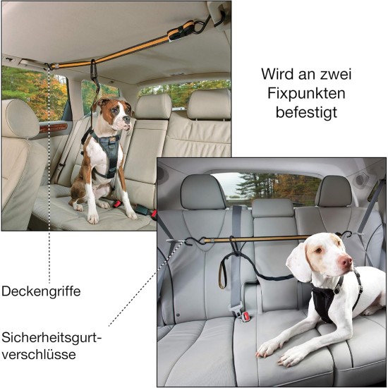 Kurgo Car Safety Tether for Dogs with Carabiner Clip, Connects Harness to Seatbelt, One Size, Black/Blue, Dog Seatbelt Loop, 01187 Kurgo Car Safety Tether for Dogs with Carabiner Clip, Connects Harness to Seatbelt, One Size, Black/Blue, Dog Seatbelt Loop, 01187