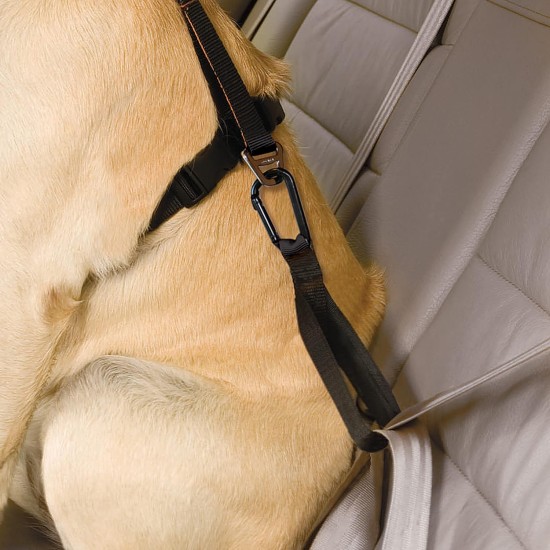 Kurgo Car Safety Tether for Dogs with Carabiner Clip, Connects Harness to Seatbelt, One Size, Black/Blue, Dog Seatbelt Loop, 01187 Kurgo Car Safety Tether for Dogs with Carabiner Clip, Connects Harness to Seatbelt, One Size, Black/Blue, Dog Seatbelt Loop, 01187