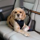 Kurgo Car Safety Tether for Dogs with Carabiner Clip, Connects Harness to Seatbelt, One Size, Black/Blue, Dog Seatbelt Loop, 01187 Kurgo Car Safety Tether for Dogs with Carabiner Clip, Connects Harness to Seatbelt, One Size, Black/Blue, Dog Seatbelt Loop, 01187