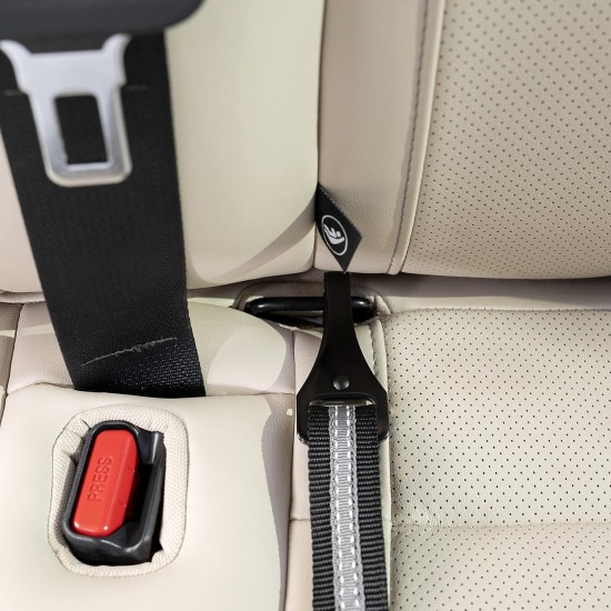 Kurgo Car Safety Tether for Dogs with Carabiner Clip, Connects Harness to Seatbelt, One Size, Black/Blue, Dog Seatbelt Loop, 01187 Kurgo Car Safety Tether for Dogs with Carabiner Clip, Connects Harness to Seatbelt, One Size, Black/Blue, Dog Seatbelt Loop, 01187