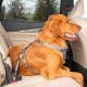 Kurgo Car Safety Tether for Dogs with Carabiner Clip, Connects Harness to Seatbelt, One Size, Black/Blue, Dog Seatbelt Loop, 01187 Kurgo Car Safety Tether for Dogs with Carabiner Clip, Connects Harness to Seatbelt, One Size, Black/Blue, Dog Seatbelt Loop, 01187