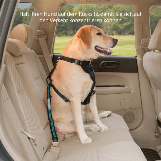Kurgo Car Safety Tether for Dogs with Carabiner Clip, Connects Harness to Seatbelt, One Size, Black/Blue, Dog Seatbelt Loop, 01187 Kurgo Car Safety Tether for Dogs with Carabiner Clip, Connects Harness to Seatbelt, One Size, Black/Blue, Dog Seatbelt Loop, 01187