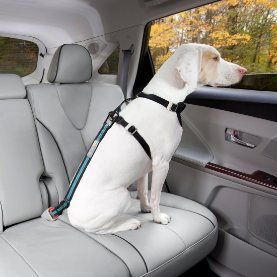 Kurgo Car Safety Tether for Dogs with Carabiner Clip, Connects Harness to Seatbelt, One Size, Black/Blue, Dog Seatbelt Loop, 01187 Kurgo Car Safety Tether for Dogs with Carabiner Clip, Connects Harness to Seatbelt, One Size, Black/Blue, Dog Seatbelt Loop, 01187