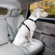 Kurgo Car Safety Tether for Dogs with Carabiner Clip, Connects Harness to Seatbelt, One Size, Black/Blue, Dog Seatbelt Loop, 01187 Kurgo Car Safety Tether for Dogs with Carabiner Clip, Connects Harness to Seatbelt, One Size, Black/Blue, Dog Seatbelt Loop, 01187