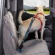 Kurgo Car Safety Tether for Dogs with Carabiner Clip, Connects Harness to Seatbelt, One Size, Black/Blue, Dog Seatbelt Loop, 01187 Kurgo Car Safety Tether for Dogs with Carabiner Clip, Connects Harness to Seatbelt, One Size, Black/Blue, Dog Seatbelt Loop, 01187
