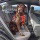 Kurgo Car Safety Tether for Dogs with Carabiner Clip, Connects Harness to Seatbelt, One Size, Black/Blue, Dog Seatbelt Loop, 01187 Kurgo Car Safety Tether for Dogs with Carabiner Clip, Connects Harness to Seatbelt, One Size, Black/Blue, Dog Seatbelt Loop, 01187
