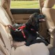 Kurgo Car Safety Tether for Dogs with Carabiner Clip, Connects Harness to Seatbelt, One Size, Black/Blue, Dog Seatbelt Loop, 01187 Kurgo Car Safety Tether for Dogs with Carabiner Clip, Connects Harness to Seatbelt, One Size, Black/Blue, Dog Seatbelt Loop, 01187
