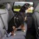 Kurgo Car Safety Tether for Dogs with Carabiner Clip, Connects Harness to Seatbelt, One Size, Black/Blue, Dog Seatbelt Loop, 01187 Kurgo Car Safety Tether for Dogs with Carabiner Clip, Connects Harness to Seatbelt, One Size, Black/Blue, Dog Seatbelt Loop, 01187