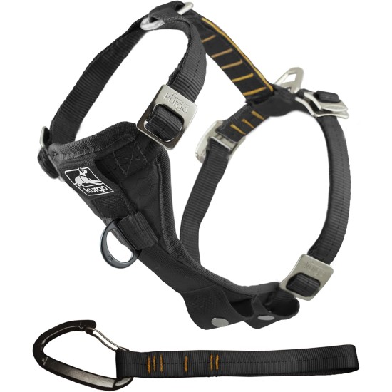 Kurgo TRU-Fit Lead, Dog Collar, No Pull Dog Harness, Front Clip Function for Training & Dog Belt for Car, Dog Accessories, Size: X-Large (Very Large) Kurgo TRU-Fit Lead, Dog Collar, No Pull Dog Harness, Front Clip Function for Training & Dog Belt for Car, Dog Accessories, Size: X-Large (Very Large)