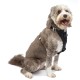 Kurgo TRU-Fit Lead, Dog Collar, No Pull Dog Harness, Front Clip Function for Training & Dog Belt for Car, Dog Accessories, Size: X-Large (Very Large) Kurgo TRU-Fit Lead, Dog Collar, No Pull Dog Harness, Front Clip Function for Training & Dog Belt for Car, Dog Accessories, Size: X-Large (Very Large)
