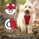 Kurgo TRU-Fit Lead, Dog Collar, No Pull Dog Harness, Front Clip Function for Training & Dog Belt for Car, Dog Accessories, Size: X-Large (Very Large) Kurgo TRU-Fit Lead, Dog Collar, No Pull Dog Harness, Front Clip Function for Training & Dog Belt for Car, Dog Accessories, Size: X-Large (Very Large)