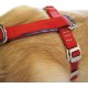 Kurgo Tru-Fit Dog Car Safety Harness with Padded Chest and D-Ring, with Car Tether, Size M, Grey Kurgo Tru-Fit Dog Car Safety Harness with Padded Chest and D-Ring, with Car Tether, Size M, Grey
