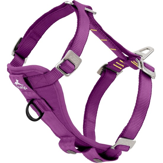 Kurgo Tru-Fit Dog Car Safety Harness with Padded Chest and D-Ring, with Car Tether, Size M, Grey Kurgo Tru-Fit Dog Car Safety Harness with Padded Chest and D-Ring, with Car Tether, Size M, Grey