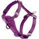 Kurgo Tru-Fit Dog Car Safety Harness with Padded Chest and D-Ring, with Car Tether, Size M, Grey Kurgo Tru-Fit Dog Car Safety Harness with Padded Chest and D-Ring, with Car Tether, Size M, Grey
