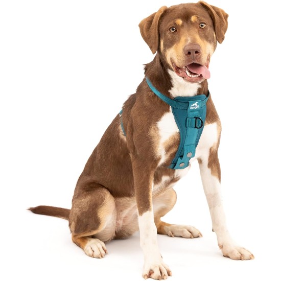 Kurgo Tru-Fit Dog Car Safety Harness with Padded Chest and D-Ring, with Car Tether, Size M, Grey Kurgo Tru-Fit Dog Car Safety Harness with Padded Chest and D-Ring, with Car Tether, Size M, Grey