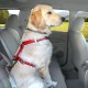Kurgo Tru-Fit Dog Car Safety Harness with Padded Chest and D-Ring, with Car Tether, Size M, Grey Kurgo Tru-Fit Dog Car Safety Harness with Padded Chest and D-Ring, with Car Tether, Size M, Grey