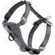 Kurgo Tru-Fit Dog Car Safety Harness with Padded Chest and D-Ring, with Car Tether, Size S, Grey Kurgo Tru-Fit Dog Car Safety Harness with Padded Chest and D-Ring, with Car Tether, Size S, Grey