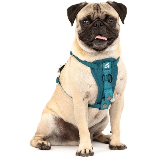 Kurgo Tru-Fit Dog Harness, Crash Tested, Car Seat Tether, for Dogs Weighing 11 to 23 kg, Size M, Black Kurgo Tru-Fit Dog Harness, Crash Tested, Car Seat Tether, for Dogs Weighing 11 to 23 kg, Size M, Black