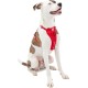 Kurgo Tru-Fit Dog Harness, Crash Tested, Car Seat Tether, for Dogs Weighing 11 to 23 kg, Size M, Black
