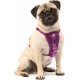 Kurgo Tru-Fit Dog Harness, Crash Tested, Car Seat Tether, for Dogs Weighing 11 to 23 kg, Size M, Black Kurgo Tru-Fit Dog Harness, Crash Tested, Car Seat Tether, for Dogs Weighing 11 to 23 kg, Size M, Black