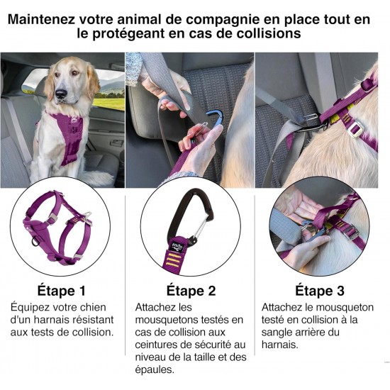 Kurgo Tru-Fit Dog Harness, Crash Tested, Car Seat Tether, for Dogs Weighing 11 to 23 kg, Size M, Black Kurgo Tru-Fit Dog Harness, Crash Tested, Car Seat Tether, for Dogs Weighing 11 to 23 kg, Size M, Black