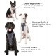 Kurgo Tru-Fit Dog Harness, Crash Tested, Car Seat Tether, for Dogs Weighing 11 to 23 kg, Size M, Black Kurgo Tru-Fit Dog Harness, Crash Tested, Car Seat Tether, for Dogs Weighing 11 to 23 kg, Size M, Black
