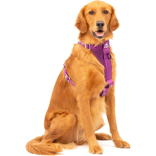 Kurgo Tru-Fit Dog Harness, Crash Tested, Car Seat Tether, for Dogs Weighing 11 to 23 kg, Size M, Black Kurgo Tru-Fit Dog Harness, Crash Tested, Car Seat Tether, for Dogs Weighing 11 to 23 kg, Size M, Black