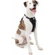 Kurgo Tru-Fit Dog Harness, Crash Tested, Car Seat Tether, for Dogs Weighing 11 to 23 kg, Size M, Black Kurgo Tru-Fit Dog Harness, Crash Tested, Car Seat Tether, for Dogs Weighing 11 to 23 kg, Size M, Black