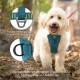 Kurgo Tru-Fit Dog Harness, Crash Tested, Car Seat Tether, for Dogs Weighing 11 to 23 kg, Size M, Black