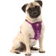 Kurgo Tru-Fit Dog Harness, Crash Tested, Car Seat Tether, for Dogs Weighing 23 to 36 kg, Size L, Black Kurgo Tru-Fit Dog Harness, Crash Tested, Car Seat Tether, for Dogs Weighing 23 to 36 kg, Size L, Black