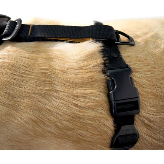 Kurgo Tru-Fit Smart Dog Harness with Quick Release Buckles, Easy Harness for Active Dogs, Medium Kurgo Tru-Fit Smart Dog Harness with Quick Release Buckles, Easy Harness for Active Dogs, Medium