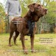 Kurgo Tru-Fit Smart Dog Harness with Quick Release Buckles, Easy Harness for Active Dogs, Medium Kurgo Tru-Fit Smart Dog Harness with Quick Release Buckles, Easy Harness for Active Dogs, Medium