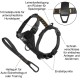 Kurgo Tru-Fit Smart Dog Harness with Quick Release Buckles, Easy Harness for Active Dogs, Medium