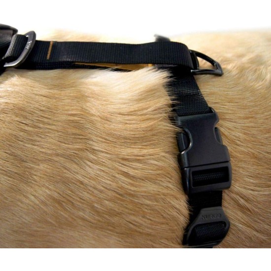 Kurgo Tru-Fit Smart Dog Harness with Quick Release Buckles, Easy Harness for Active Dogs, Medium Kurgo Tru-Fit Smart Dog Harness with Quick Release Buckles, Easy Harness for Active Dogs, Medium