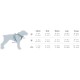 Kurgo Tru-Fit Smart Dog Harness with Quick Release Buckles, Easy Harness for Active Dogs, Medium Kurgo Tru-Fit Smart Dog Harness with Quick Release Buckles, Easy Harness for Active Dogs, Medium