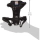 Kurgo Tru-Fit Smart Dog Harness with Quick Release Buckles, Easy Harness for Active Dogs, Medium Kurgo Tru-Fit Smart Dog Harness with Quick Release Buckles, Easy Harness for Active Dogs, Medium