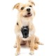 Kurgo Tru-Fit Smart Dog Harness with Quick Release Buckles, Easy Harness for Active Dogs, Medium
