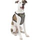Kurgo Vehicle Safety Harness for Dogs, Universal Seatbelt Attachment via Integrated Loops, Size: Medium – Suitable for Medium Sized Breeds, Adjustable Fit, Charcoal Grey, Impact Car Harness, 01607 Kurgo Vehicle Safety Harness for Dogs, Universal Seatbelt Attachment via Integrated Loops, Size: Medium – Suitable for Medium Sized Breeds, Adjustable Fit, Charcoal Grey, Impact Car Harness, 01607