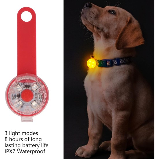 LED Dog Light Pendant Pet USB Rechargeable LED Light Pendant Pet Waterproof Pendant Outdoor Warning Light LED Dog Light Pendant (Red) LED Dog Light Pendant Pet USB Rechargeable LED Light Pendant Pet Waterproof Pendant Outdoor Warning Light LED Dog Light Pendant (Red)