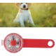 LED Dog Light Pendant Pet USB Rechargeable LED Light Pendant Pet Waterproof Pendant Outdoor Warning Light LED Dog Light Pendant (Red) LED Dog Light Pendant Pet USB Rechargeable LED Light Pendant Pet Waterproof Pendant Outdoor Warning Light LED Dog Light Pendant (Red)
