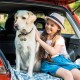 LEEQ Extra Loud Bells for Cats and Dogs - Pet Tracker Bell for Collar Pet Tracker for Black Cat Bell Collar Charm Pendant Bells for Dog Cat Harness, Stainless Steel LEEQ Extra Loud Bells for Cats and Dogs - Pet Tracker Bell for Collar Pet Tracker for Black Cat Bell Collar Charm Pendant Bells for Dog Cat Harness, Stainless Steel
