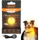 LaRoo Safety LED Flashing Light for Dogs, Cats, LED Light Pendant Keyring, 3 Flashing Modes, Safety Light for Walking the Dog and Outdoor Sports LaRoo Safety LED Flashing Light for Dogs, Cats, LED Light Pendant Keyring, 3 Flashing Modes, Safety Light for Walking the Dog and Outdoor Sports