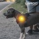 LaRoo Safety LED Flashing Light for Dogs, Cats, LED Light Pendant Keyring, 3 Flashing Modes, Safety Light for Walking the Dog and Outdoor Sports LaRoo Safety LED Flashing Light for Dogs, Cats, LED Light Pendant Keyring, 3 Flashing Modes, Safety Light for Walking the Dog and Outdoor Sports