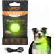 LaRoo Safety LED Flashing Light for Dogs, Cats, LED Light Pendant Keyring, 3 Flashing Modes, Safety Light for Walking the Dog and Outdoor Sports LaRoo Safety LED Flashing Light for Dogs, Cats, LED Light Pendant Keyring, 3 Flashing Modes, Safety Light for Walking the Dog and Outdoor Sports