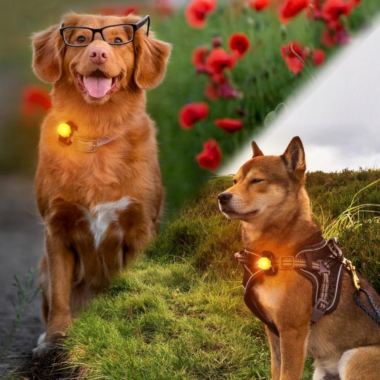 LaRoo Safety LED Flashing Light for Dogs, Cats, LED Light Pendant Keyring, 3 Flashing Modes, Safety Light for Walking the Dog and Outdoor Sports LaRoo Safety LED Flashing Light for Dogs, Cats, LED Light Pendant Keyring, 3 Flashing Modes, Safety Light for Walking the Dog and Outdoor Sports