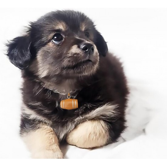 Langjitianya Saint Bernard Life Barrel Collar, Saint Bernard Barrel Collar for Small Dogs, Mini Barrel with Adjustable Rings for Pets (Size S), Wood Langjitianya Saint Bernard Life Barrel Collar, Saint Bernard Barrel Collar for Small Dogs, Mini Barrel with Adjustable Rings for Pets (Size S), Wood