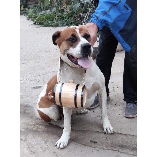 Langjitianya Saint Bernard Life Barrel Collar, Saint Bernard Barrel Collar for Small Dogs, Mini Barrel with Adjustable Rings for Pets (Size S), Wood Langjitianya Saint Bernard Life Barrel Collar, Saint Bernard Barrel Collar for Small Dogs, Mini Barrel with Adjustable Rings for Pets (Size S), Wood
