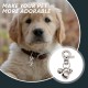 Laute Katzen Hundeglocken, Pack of 4, Glöckchen Halsband Anhänger Glocken Für Trainieren, Haustier Tracker Glocken Hundeglocken Für Halsband Tracker Für Katzen Haustiere, Haustier Kleine Glocken Laute Katzen Hundeglocken, Pack of 4, Glöckchen Halsband Anhänger Glocken Für Trainieren, Haustier Tracker Glocken Hundeglocken Für Halsband Tracker Für Katzen Haustiere, Haustier Kleine Glocken