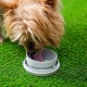Leashic InnovaGoods 6-in-1 Retractable Dog Lead Leashic InnovaGoods 6-in-1 Retractable Dog Lead