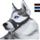 Lepark Nylon Muzzle for Small Medium Large Dogs Prevent Biting Barking Chewing Adjustable Loop (L/Black) Lepark Nylon Muzzle for Small Medium Large Dogs Prevent Biting Barking Chewing Adjustable Loop (L/Black)